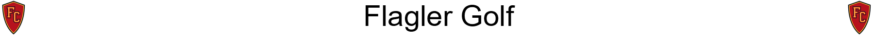 Banner 204